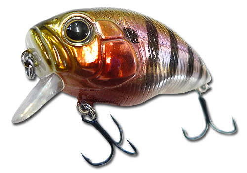 DUO INCUBATOR RUSH60 商品説明