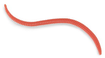 TRIGGER-X 生分解性くわせエサ ミミズ(EARTH WORM) カラーサンプル