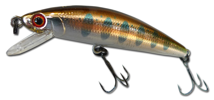 Jackson Trout Tune 商品説明